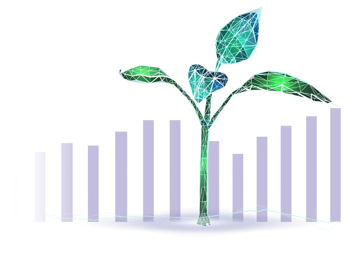 Blooming_culture-maturity-Mirro Blooming_culture-maturity-Mirro